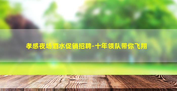 孝感夜场酒水促销招聘-十年领队带你飞翔